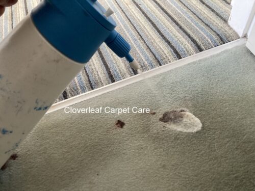blood stain remover