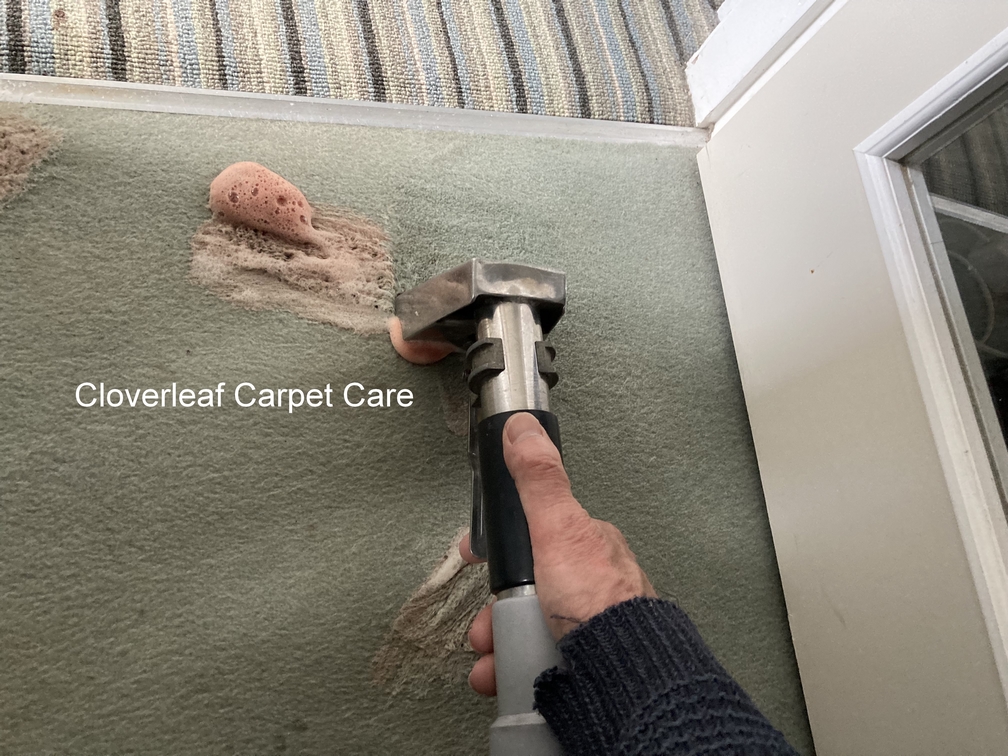extraction of blood from carpet