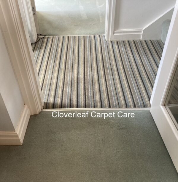 blood stains removed from carpet